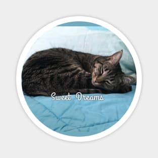 Sweet Dreams Magnet